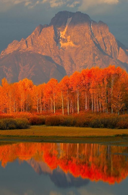 SarahiArQui's tweet photo. welcome January  ♡♡

#NaturePhotography 🧡🧡🧡 https://t.co/slj4xz4smg