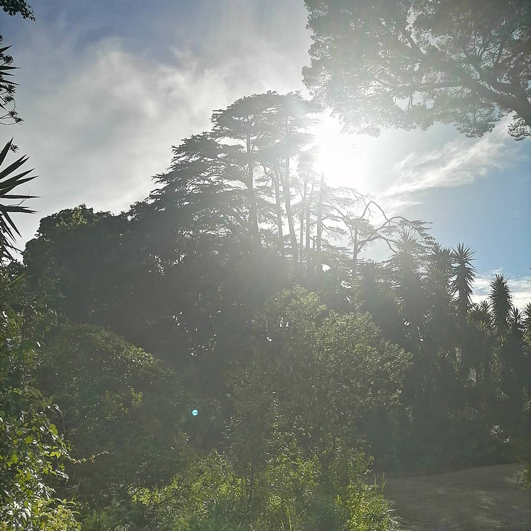 amylew_official's tweet photo. Happy New Year!
#capetown #southafrica #naturephotography #naturelovers #nature_photo #photography #green #blue #sun #beautifuldestinations #cloud #trees #garden #HappyNewYear https://t.co/60RpR29kxl