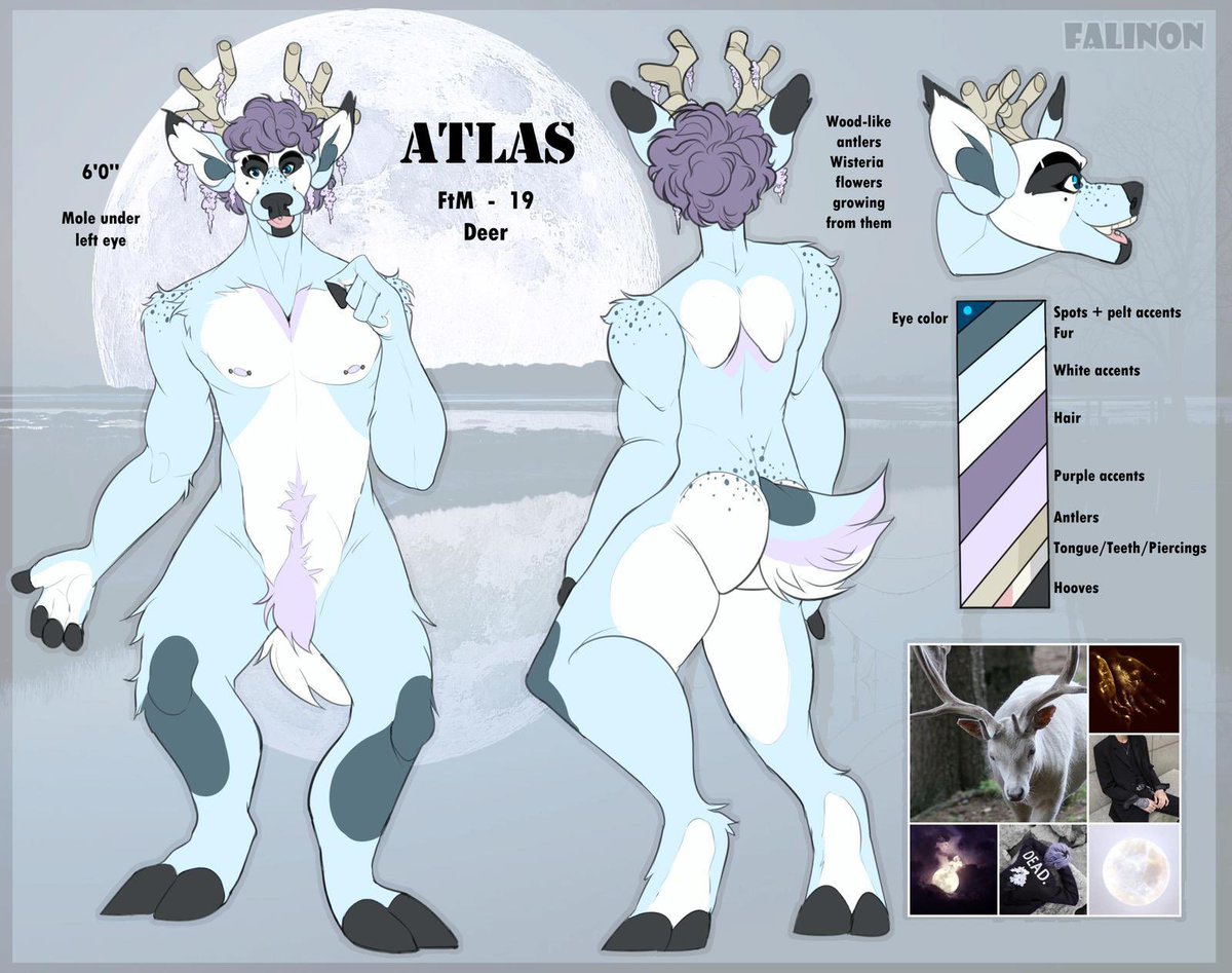_LunaTheKitty_'s tweet photo. So I’d like to try this again. I have an old sona that I just can’t connect with anymore. I’m asking $60 OBO for him because I’ve never really gotten art for him. Leave a comment or DM for inquiries! #adopt #adoptableopen #deersona #deer #furry #furryfandom https://t.co/Mfdxz1nOzt