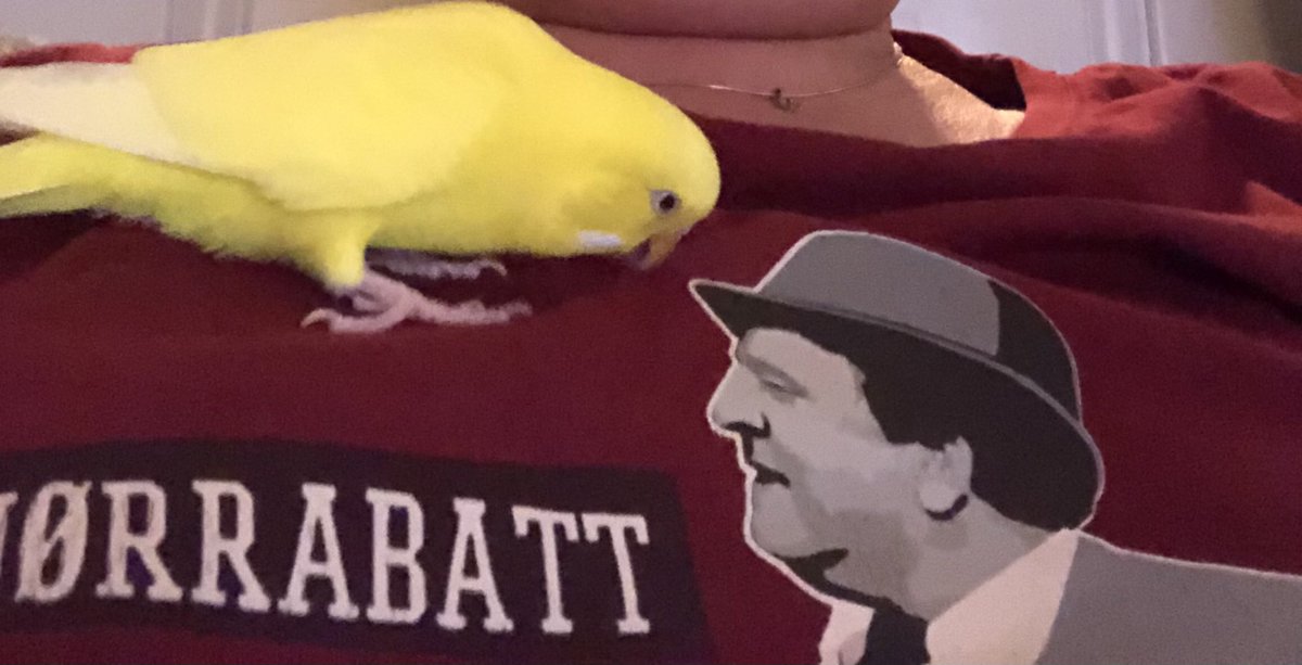 Simonsen68's tweet image. To X Marve🐤🕺🏼