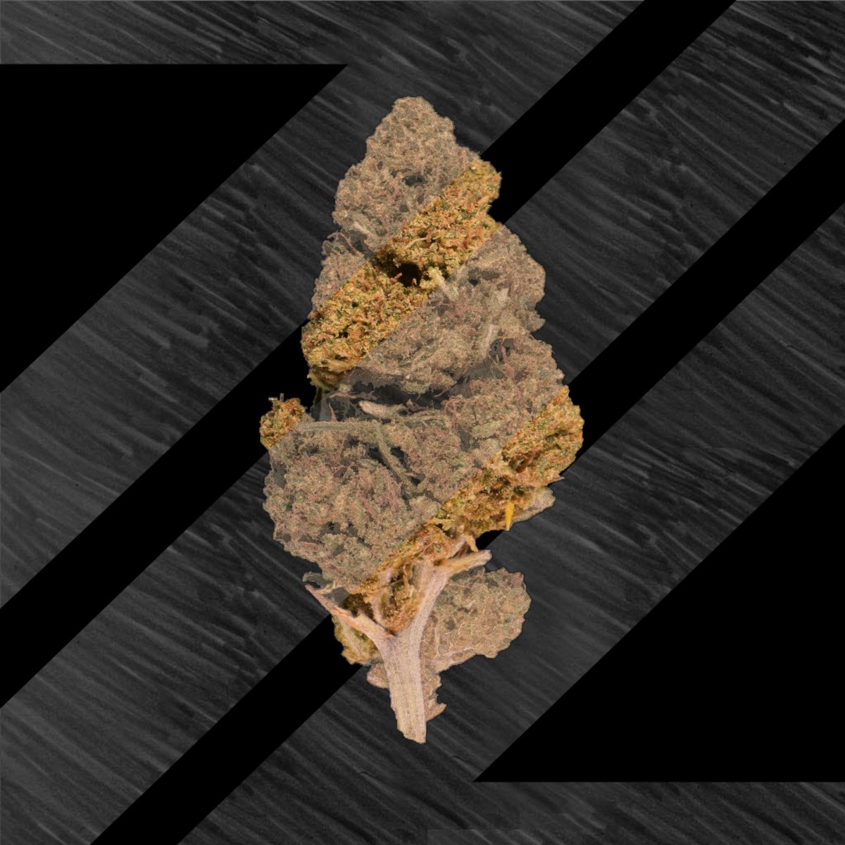 CannaCrypts tweet media