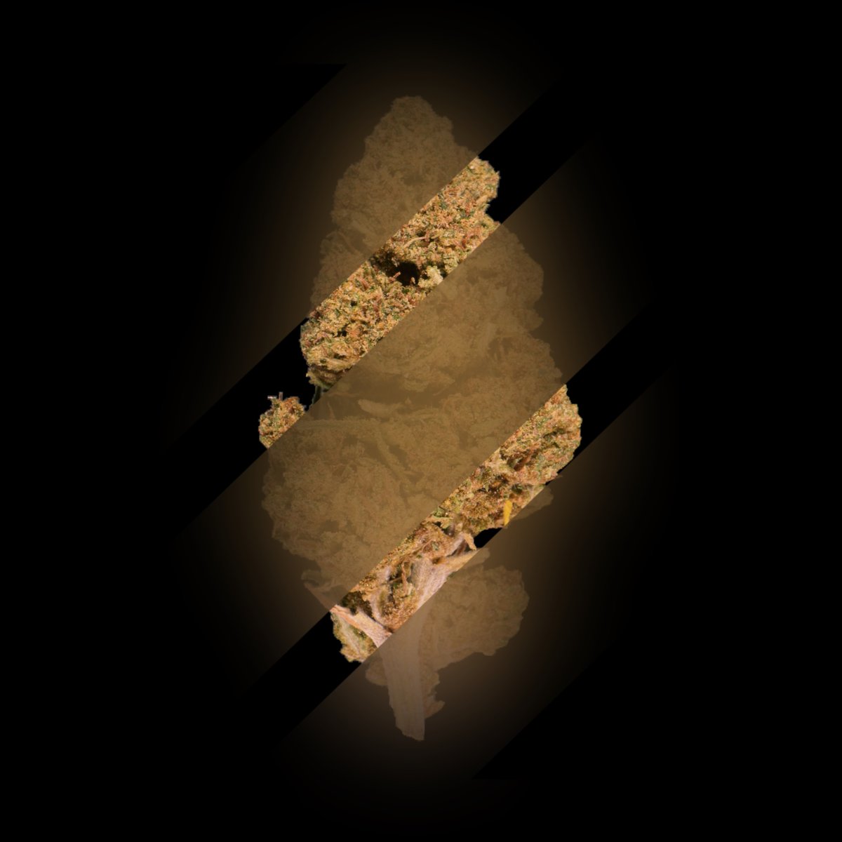 CannaCrypts tweet media