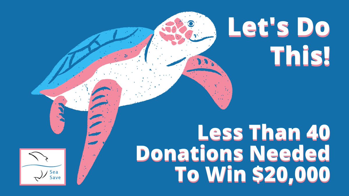 seasave's tweet photo. Happy New Year! π Sea Saveβs year-end fundraiser needs your help. 40 more donations + we will win $20k! Donate now. https://t.co/7yJdJngF0k β€οΈ
.
#newyears2022 #newyear2022 #newyearresolutions #2022goals #seasavefoundation #givingback #give #helpouroceans https://t.co/hSWZJU483s