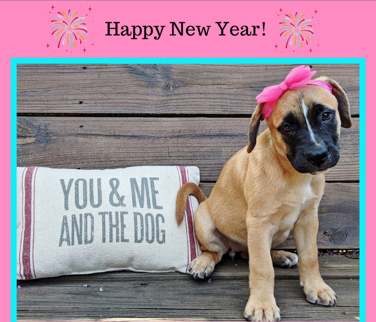 Photo: Two By Two Animal Rescue.  Wishing everyone peace, joy and good health throughout the New Year.