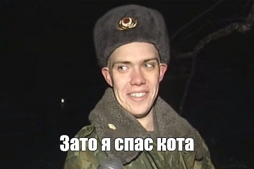 Я спас кота. Включи спас кота. Спасение кота барсика в нижнем новгороде. Солдат спас кота нижний новгород. Солдат спас кота.