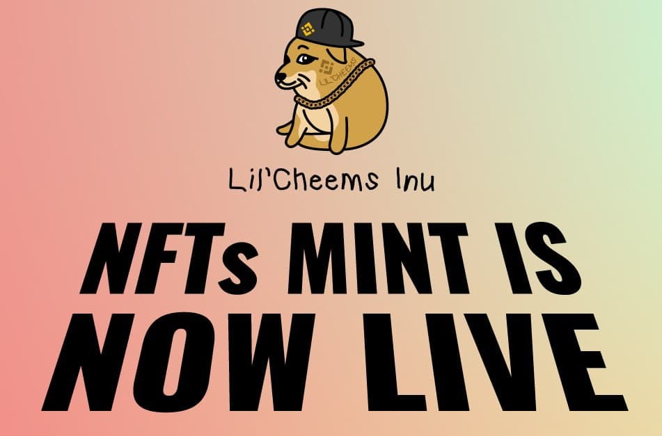 Sjuul | AltCryptoGems tweet media