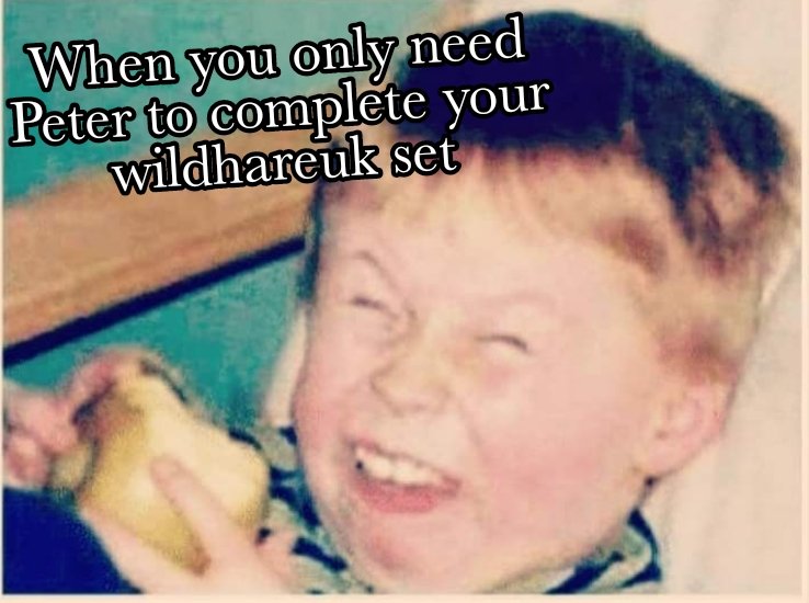 wildhareuk_'s tweet photo. Who can relate? 😆
-
Use the code NY22 to save 22percent on all beard care products, ends Monday.
-
https://t.co/n5REZ9qa0k
-
🐰
Tame that hair!!!
🐰
#wearewildhare
#TAMED #wildhareuk
#malegrooming
#naturalbeard https://t.co/XlsGx3hLuQ