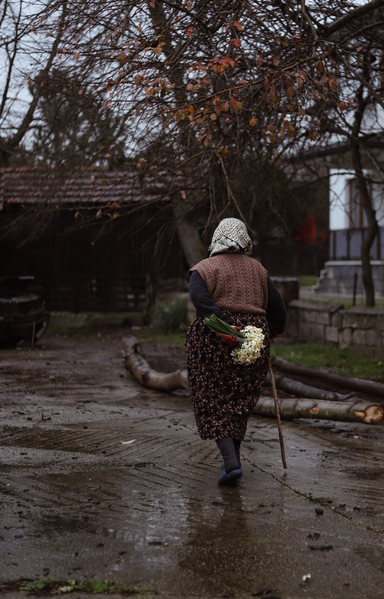 hishurriyeti's tweet photo. Taze ! 2022’in ilk fotoğrafları, torunlarına çiçek toplarken tanıştığımız Bedriye Teyze. Umarım tüm senemiz böyle samimi ve tesadüfen oluşan şahane anlarla, karelerle geçer. 🍀 https://t.co/qWPsHVjYKF