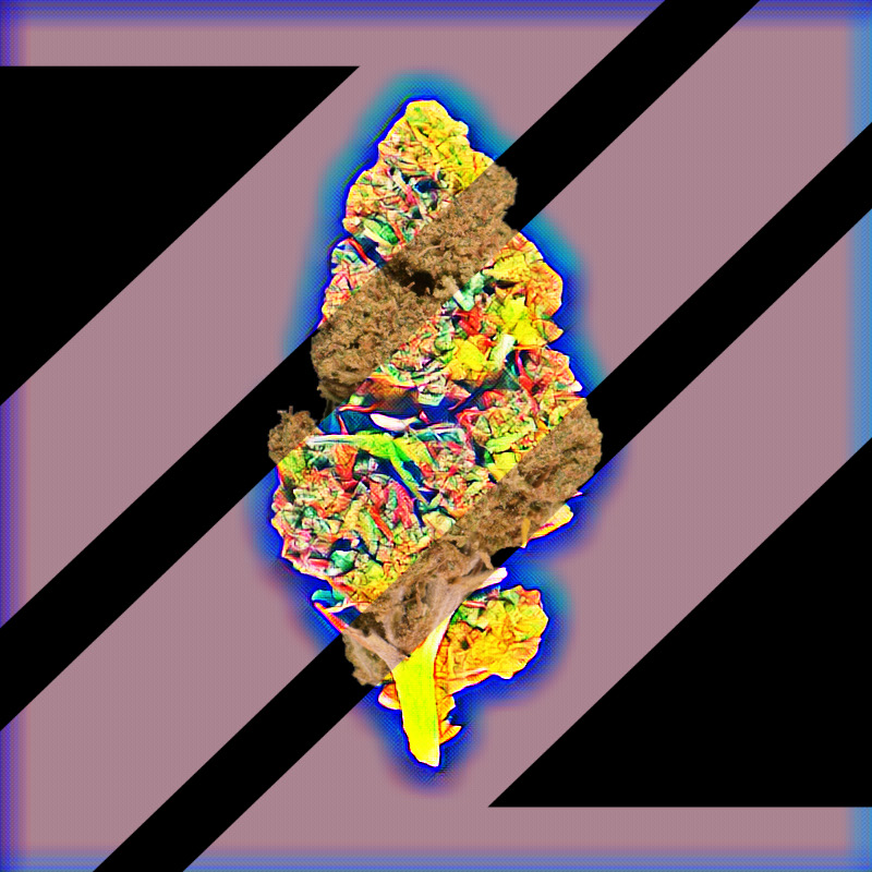 CannaCrypts tweet media