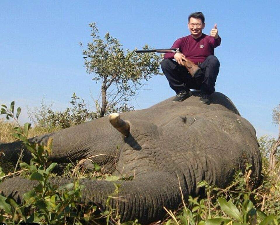 Xpose Trophy Hunting tweet media