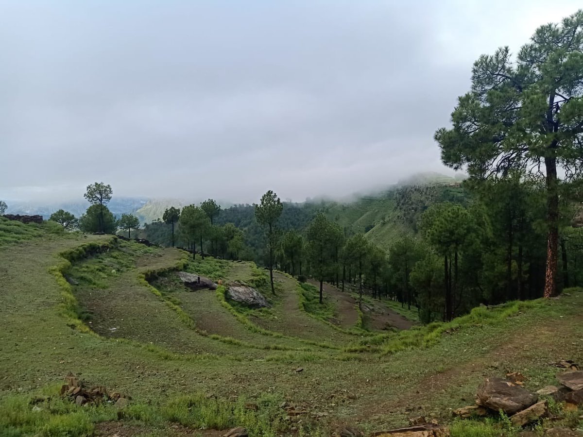 Bajaur the land of hospitality 

#زما_باجوڑ_خائستہ_دے