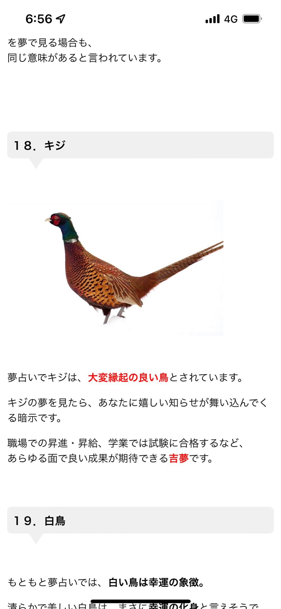 Tsubo 今年の初夢はキジになつかれる夢みました 笑 T Co 35yqgyepdx Twitter