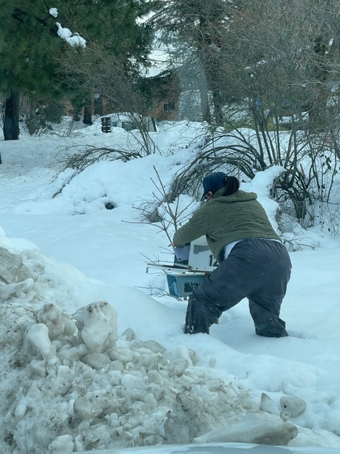 USPSBayArea's tweet photo. #Nevada #Shasta #Siskiyou #Butte #Plumas #Sierra counties please help our carriers deliver safely in this 🌨 weather!

❄️Help keep pathways,steps and overhangs clear of snow and ice

❄️if possible leave a light on to illuminate the walkway 

❄️keep mailboxes clear and accessible. https://t.co/kvYDslTnqa