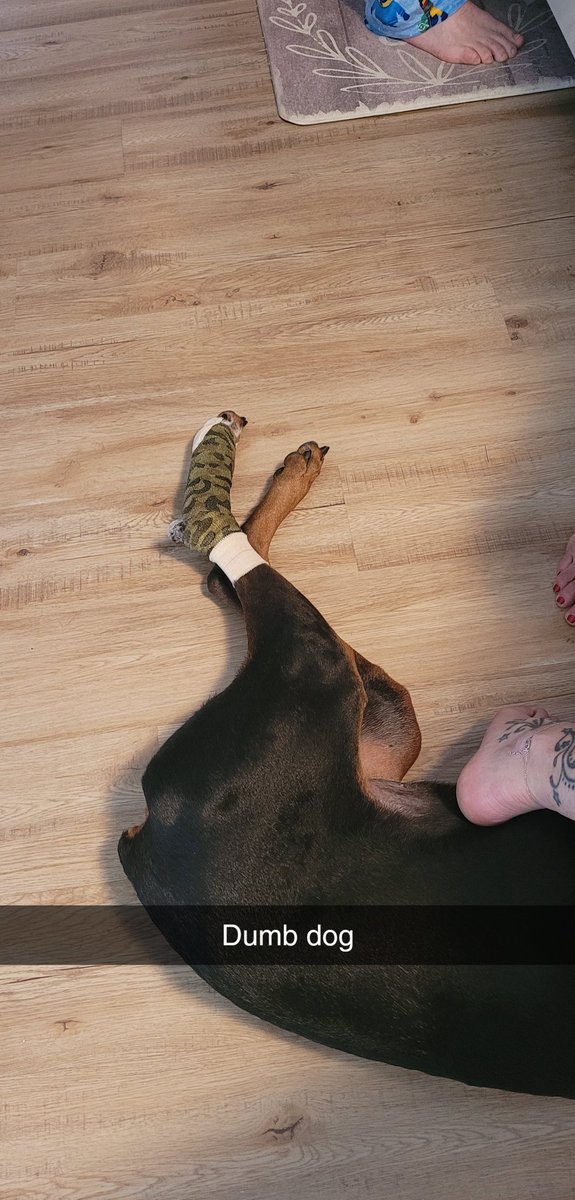 FoxyOxen's tweet photo. Let's see how long everyone's "resolutions" last. 

Meanwhile my New Year's gift was bandaging my dogs foot after she decided to do a slide cancel on the concrete. Glad I'm good at my job lol https://t.co/gfr4SesC7I