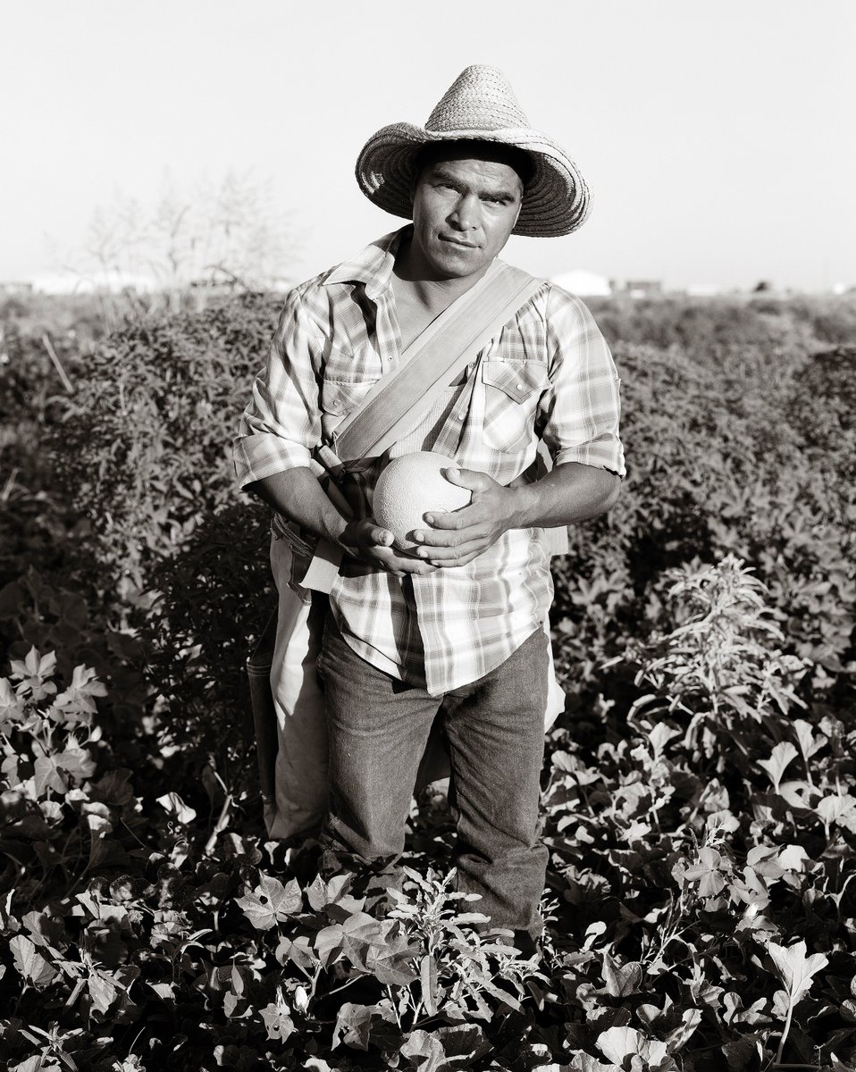 CalebJagger's tweet photo. GM :)
#21 Cantaloupe Harvesting

(Link @) https://t.co/gBB6CtghRg via @opensea 
#NFTs #NFTCommunity  #nftcollectors #nftart #BTC #ETH #art #NFTartist #nftcollector #Crypto #NFTartists #NFTsale #photography #doge #dogecoin #NFT #nftshill #opensea #OpenSeaNFT #NFTfamily #Metaverse https://t.co/zGXLYteukI