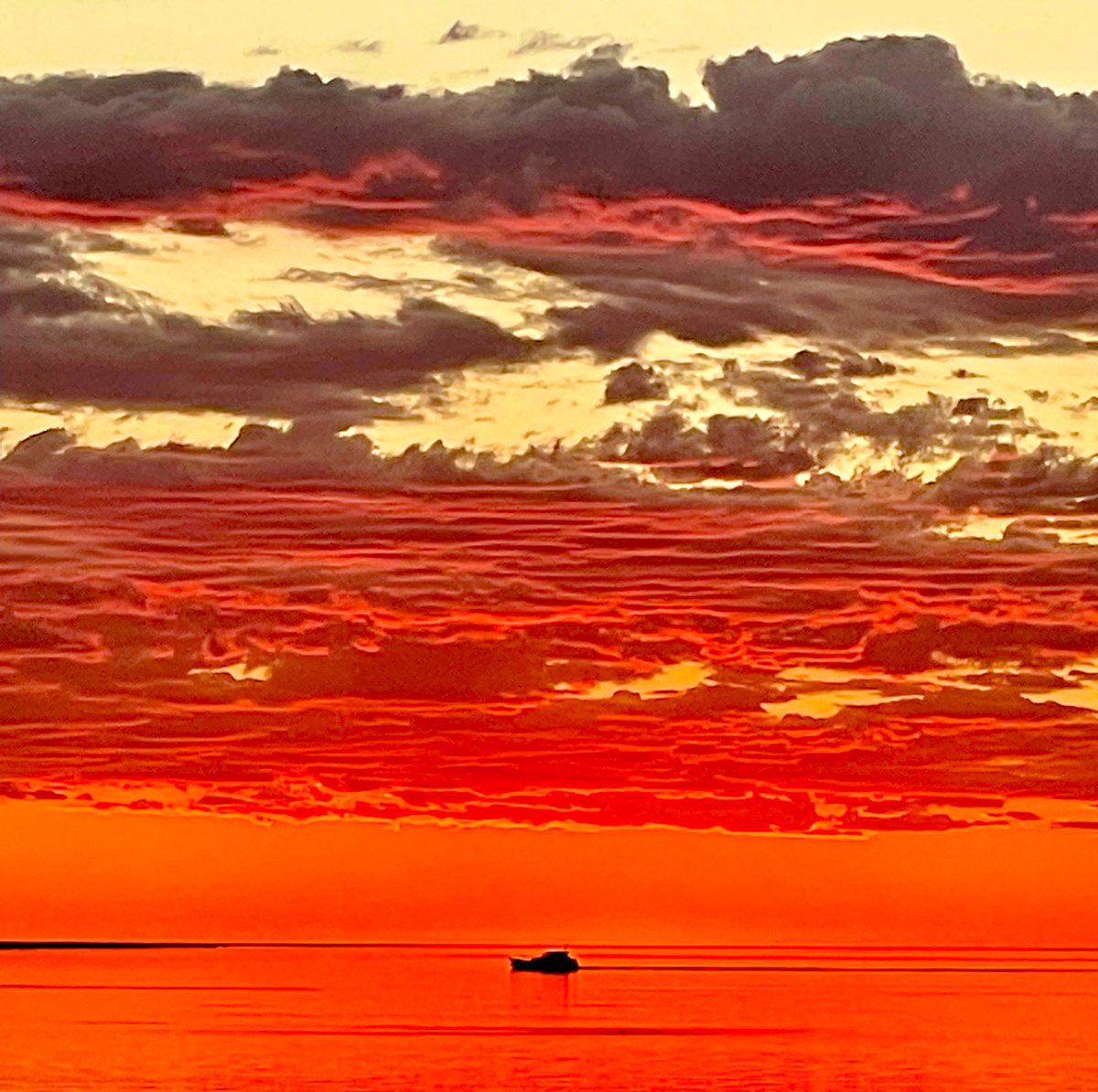 To next chapter of 2022⭐️!! #2022NewYear