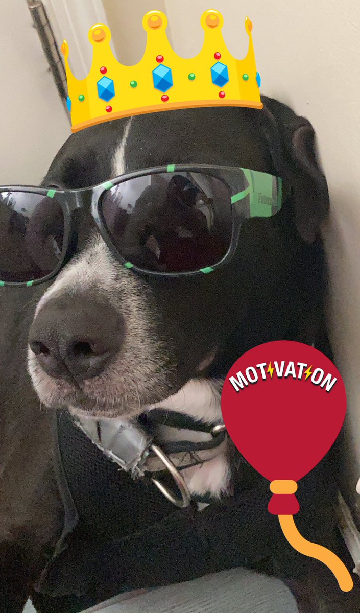 SimonFUTURE2's tweet photo. #cryptofam @helium #TwitterFamily Twitter 2021: amazingly different addition of crypto to my life. the good, the bad and the ugly that comes with It. Thank You #Blockchain Thank you for the support it’s all very much appreciated. Happy Néw Year, Never Give Up! #futurespot #hnt https://t.co/sCBqnEzTYO