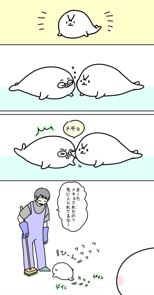 降風畑で獲れたアザラシ 