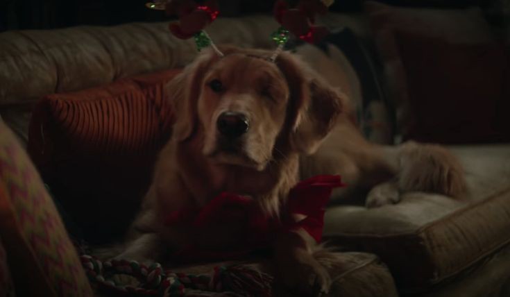 Ralitsa Urukova 🇧🇬 tweet media