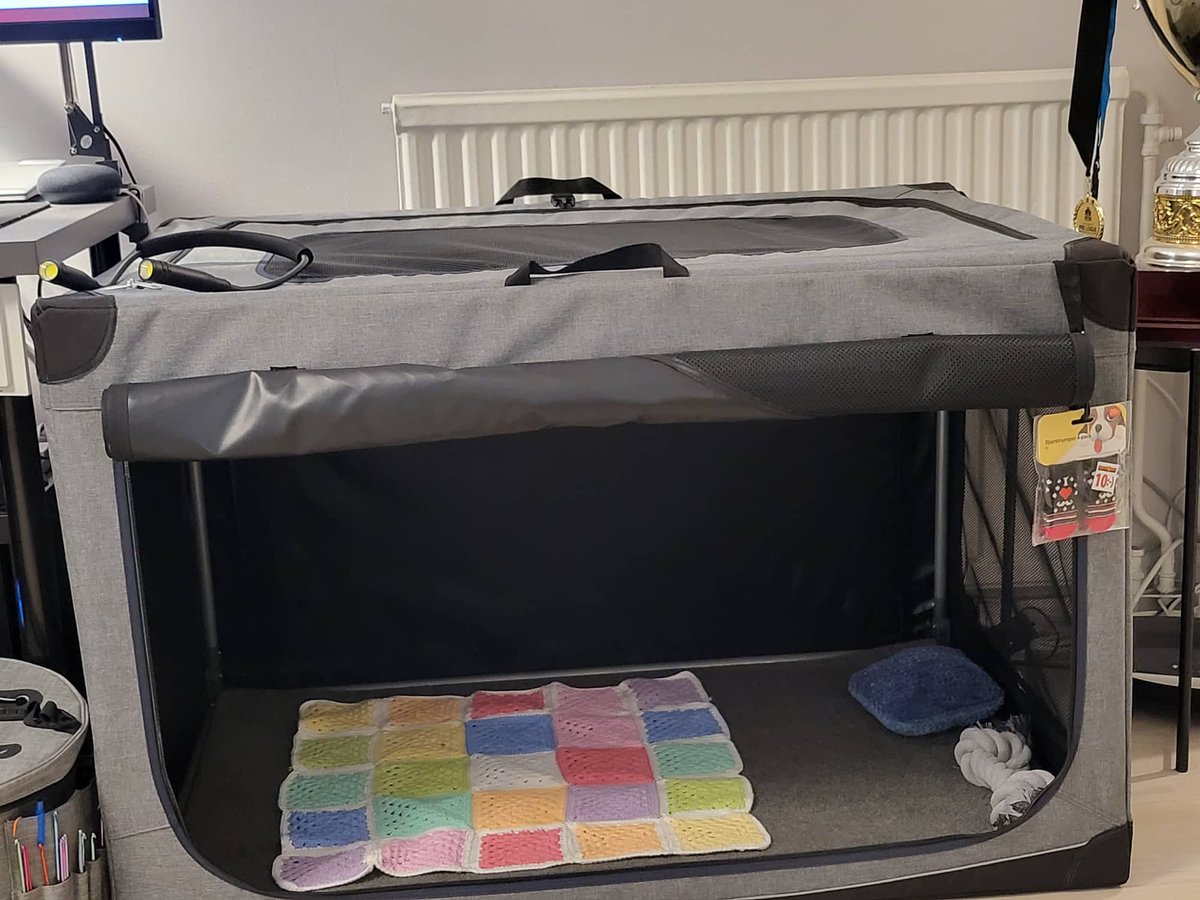 Lord Helseth tweet media