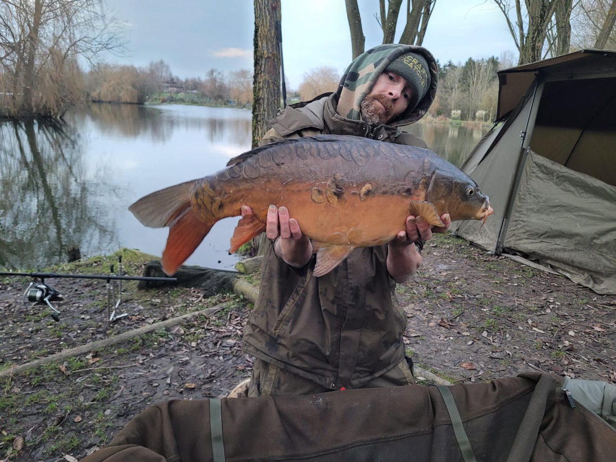 Essex_Jay's tweet photo. 1st Fish of the year.
Awesome 12lb 2oz, fantastic 🍊 colour, pictures don't do the fella justice!
#sizedoesntmatter #Carp #angling #fishing #fishinglife #delkims #munchbaits #daiwa #onemorebite https://t.co/FJPEYkrdkA