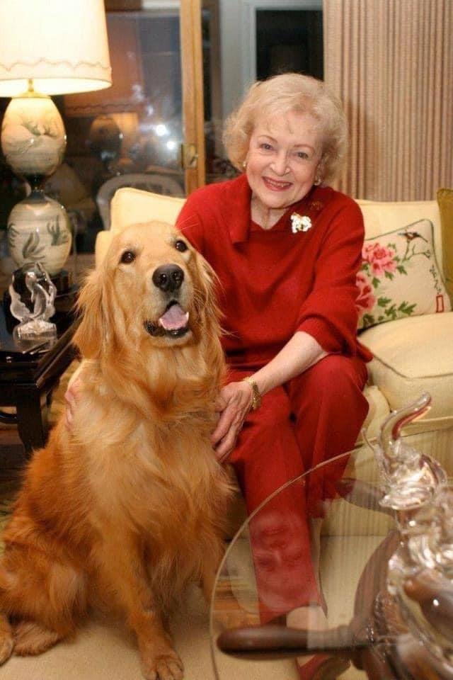 WholesomeMeme's tweet photo. “Once someone has had the good fortune to share a true love affair with a Golden Retriever, one’s life and one’s outlook is never quite the same.” https://t.co/la9RpqeDX8