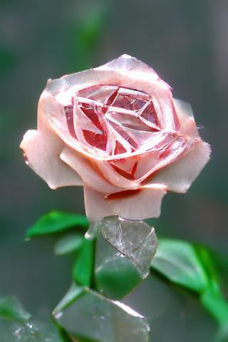 ai_generated's tweet photo. Diamond Rose - AI Generated Art
#AIArtwork #AIArt #art #digitalart #digitalartwork https://t.co/QfYqar0klE