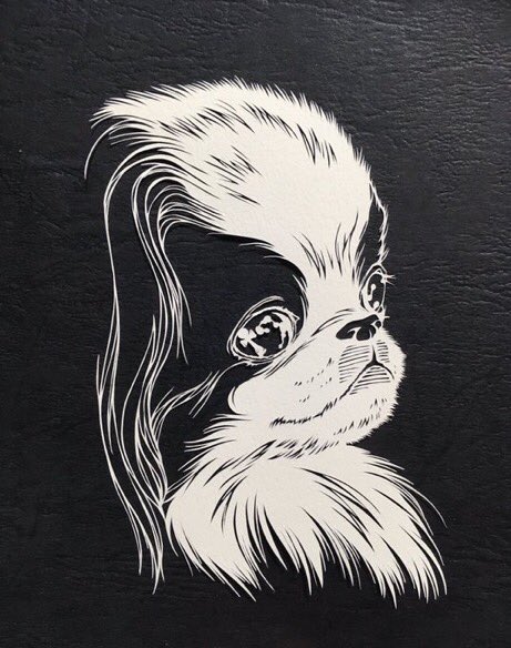 過去の干支切り絵です
干支切り絵は必ずけん玉を添える事にしてます。2枚目と3枚目のけん玉は一目瞭然ですが犬と牛のけん玉はさりげなく混ぜ込んであります('∀`*)
#切り絵 