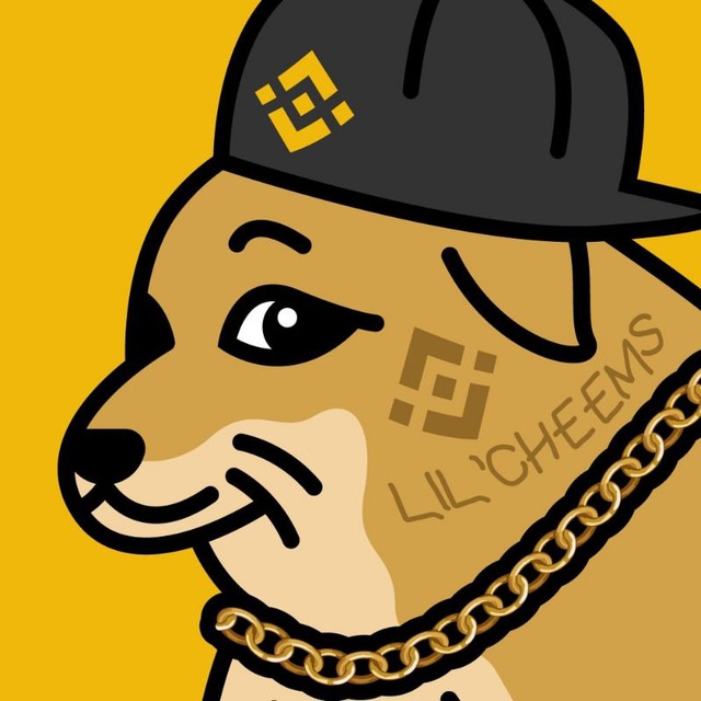 KingFlokiArmy's tweet photo. @AltCryptoGems @LilCheems_Inu 🚀🚀🚀 #1000xgem #Next100XGEMS #CheemsInu #cheems #CHEEMSINUARMY #BSC #soscoin #Solana #btc https://t.co/MLLNtycd7L