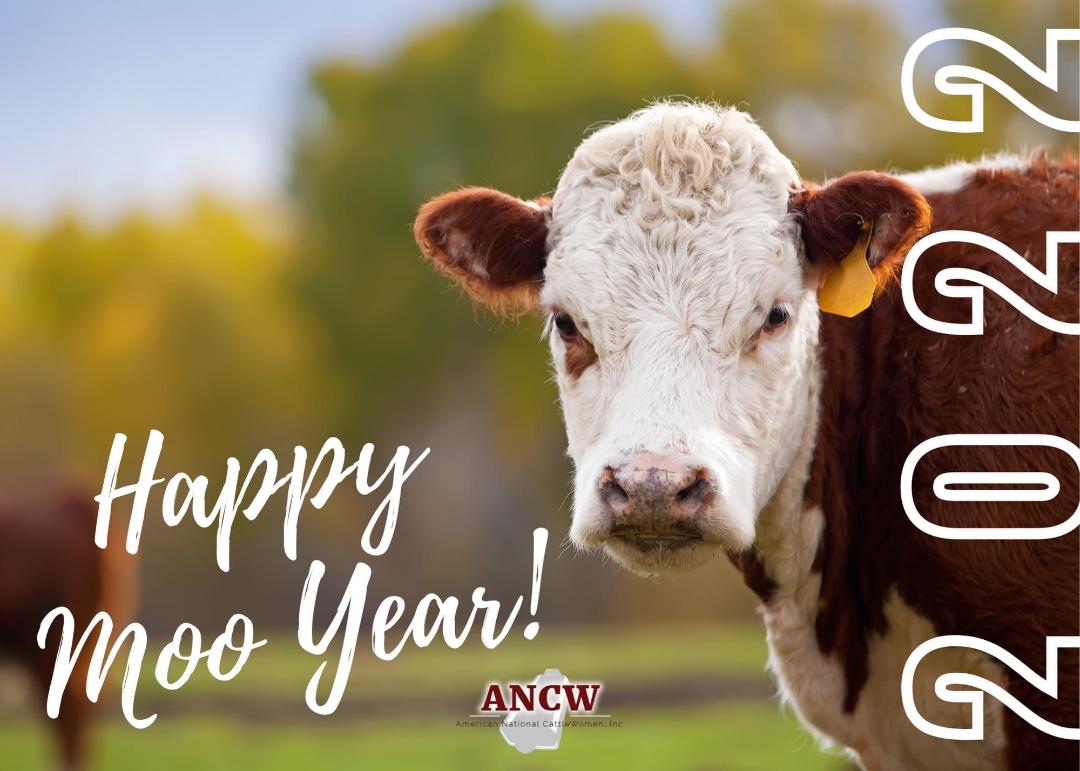 AmericanCW's tweet photo. Happy Moo Year from ANCW! We hope this year finds you and your herd both happy and healthy!
#newyear #newyear2022 #beef4generations #cattle https://t.co/Mh6zDVBKEp