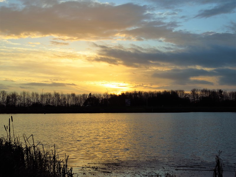 Here are today's sightings from Priorslee Lake and The Flash, Telford, Shropshire @sosbirds @LYR_Shropshire @severnrivers @BC_WestMids @My_Wild_Telford @BTO_Shropshire @ShropBotany Today's Photo: Sunrise at Priorslee Lake friendsofpriorsleelake.blogspot.com/2022/01/1-jan-…