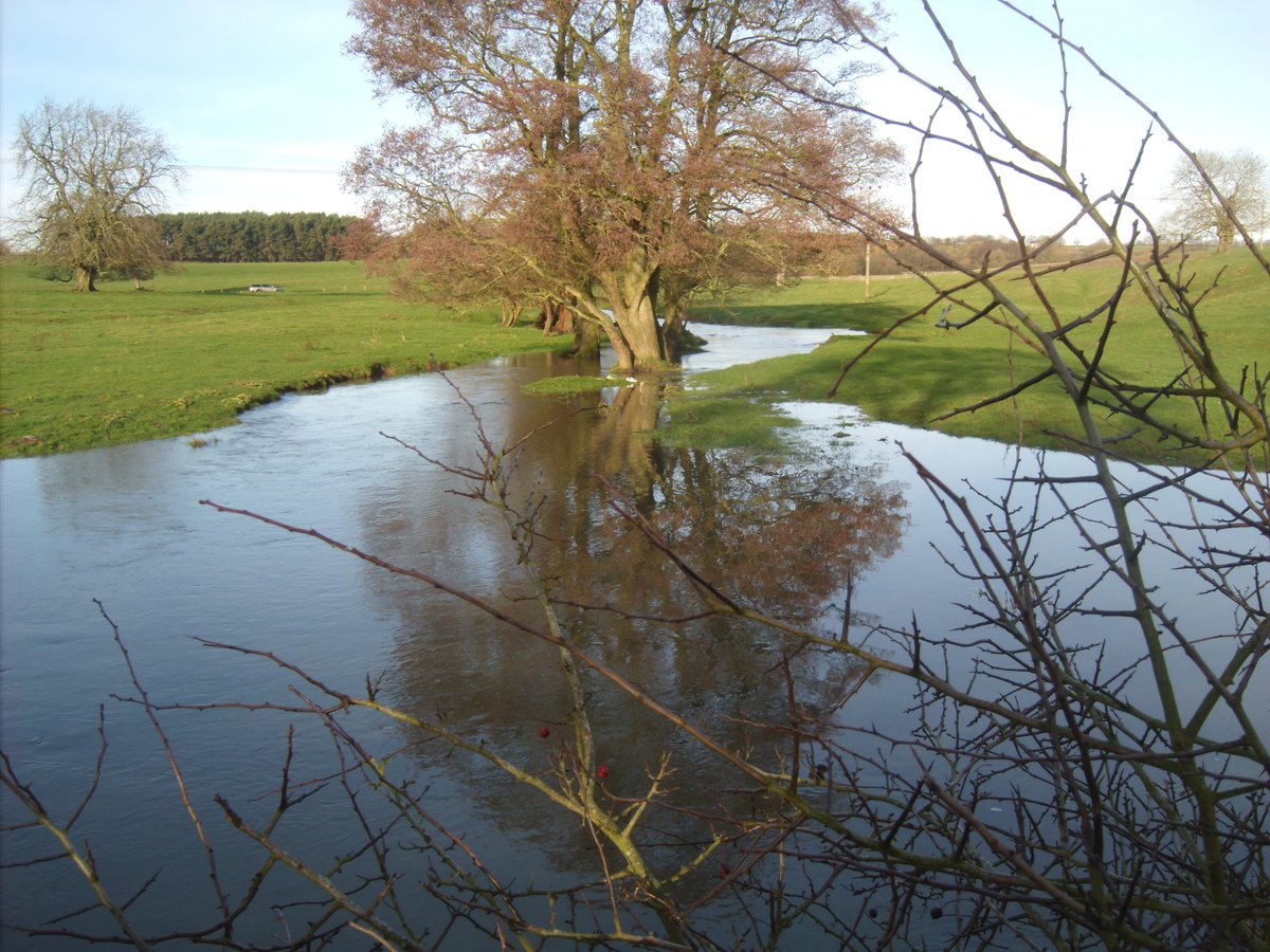 janeairpoetry's tweet photo. Let's hope that #EgdonResources have the sense not the appeal the #LincolnshireCountyCouncil's decision for no oil drilling in #Biscathorpe #AOONB. I predict alot of protesting from the people of #Lincolnshire if they do with local and national media coverage and support. https://t.co/xV5mGoEZPZ
