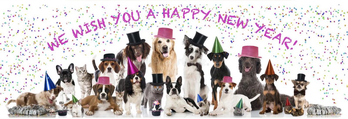 Moo’s Angels Pet Care tweet media