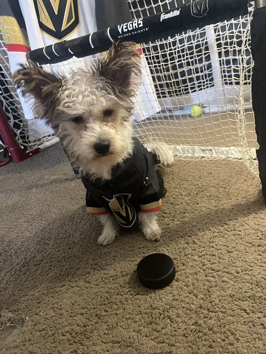 Welcome to my new account I’m officially the biggest <a href="/RobinLehner/">Time is up. Not going alone. truth coming soon.</a> doggie fan in the world and my daddy <a href="/scsuhockey10/">Bdiddy</a> mental support pup #metoo