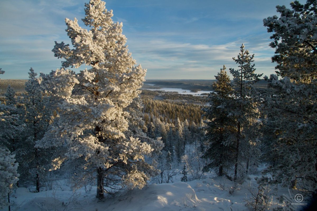 VisualFinland's tweet image. Enontekiö kirkkaana pakkaspäivänä – näkymiä Jyppyrän päältä Lapin metsämaisemiin.

Nämä ja muut maisemakuvat kaikkialta Suomesta löytyvät Visual Finland -kuvapankista. Tervetuloa ihailemaan kotimaamme kauneutta: visualfinland.com

#luonto #lappi #maisema #kuvapankki #suomi
