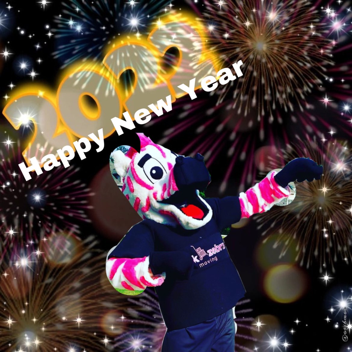 Happy New Year from <a href="/MovingZebra/">Pink Zebra Moving</a>