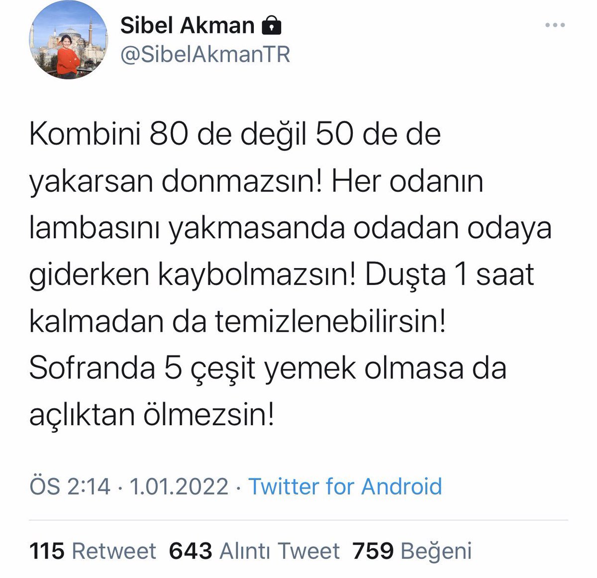 Beynini kullanmadan da tweet atabilirsin mesela. Hatta IQ’un sıfırın altındayken donmazsın Sibel. Tuzun kuruyken kolaydır olmayan akılla millete akıl vermeler Sibel.