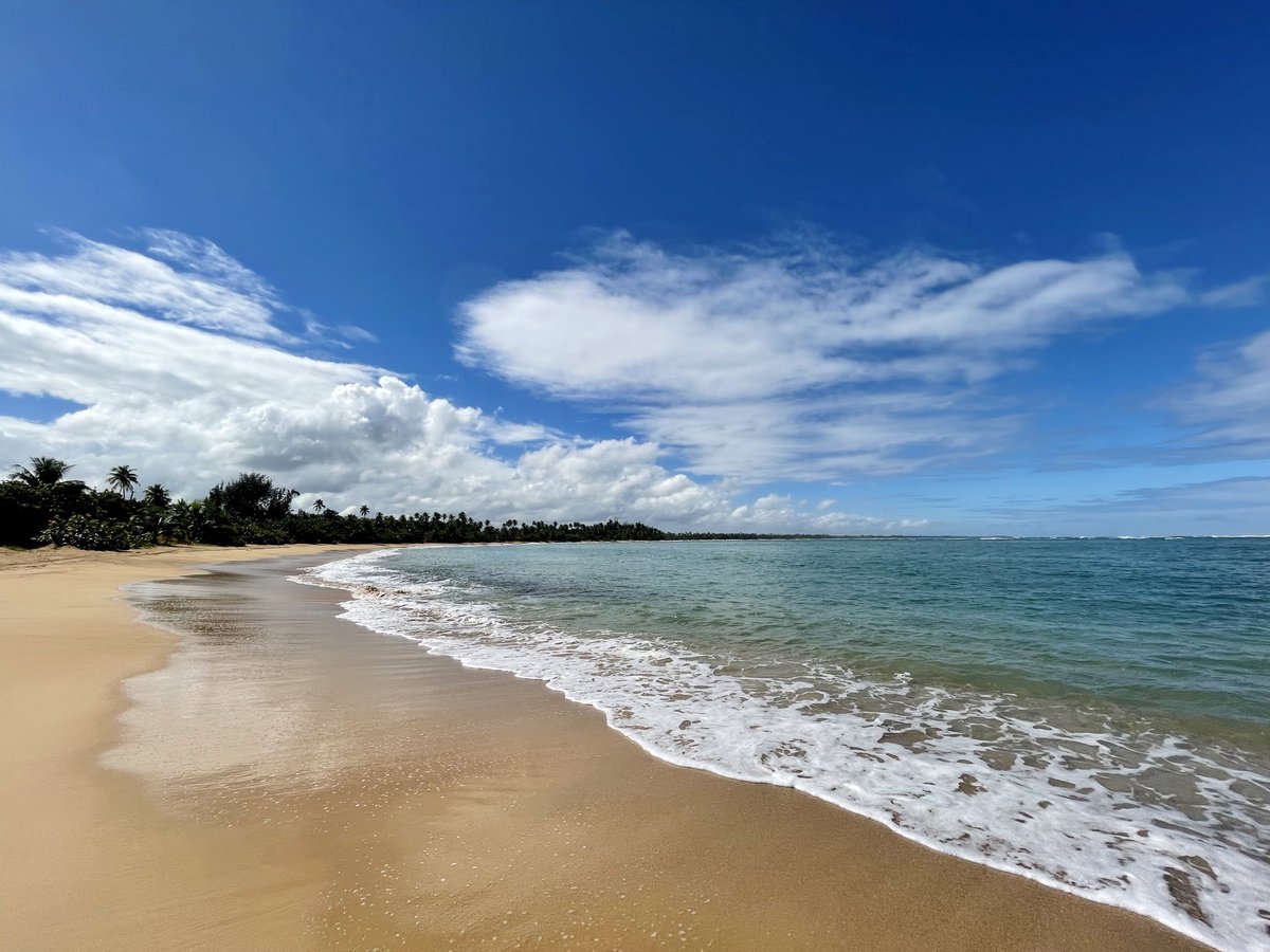 Providing value for others is its own form of success.

#tweet100