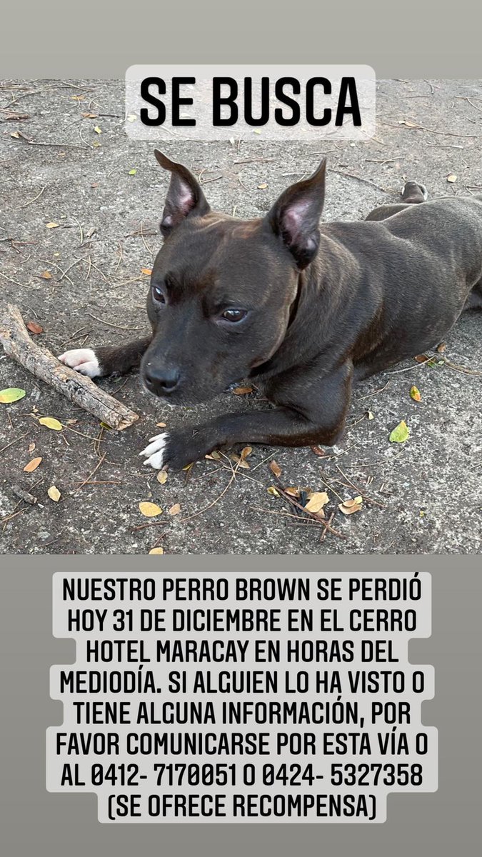 Danyfebles's tweet photo. Se busca en Maracay https://t.co/lacbYdA7Rk