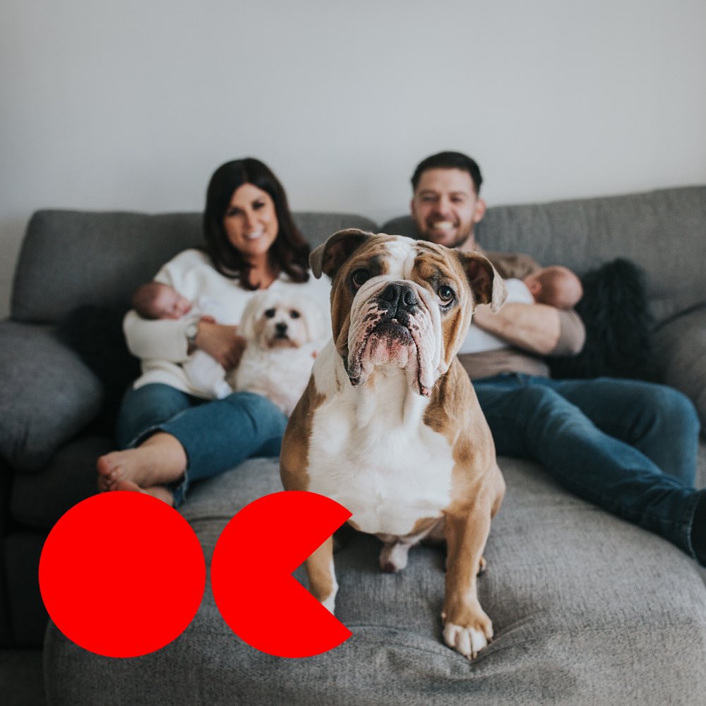 ochomesuk's tweet image. Here is the Dog 🐶  #ocisforourcommunity #ocevolution