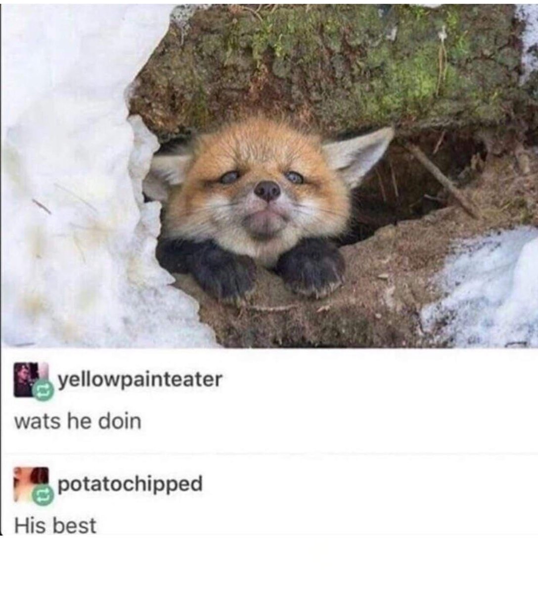 Kelli ♫ The Opera Geek ♫ tweet media