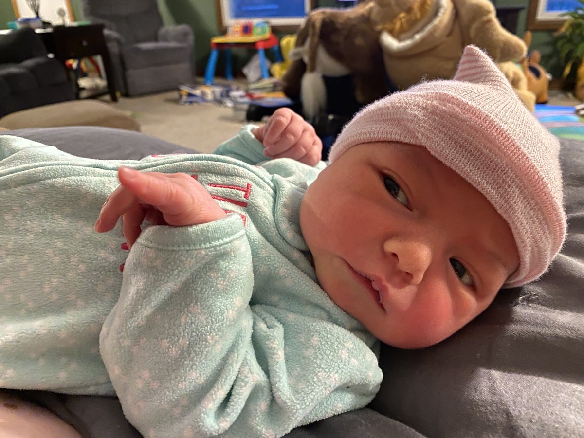 Hotel California Angus Farm - Sam tweet media