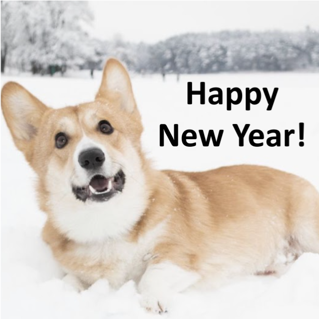BetterBred's tweet photo. Happy New Year! Not all category 10 breedings are the same. Part 2 service dogs and an AMAZING New Years deal 👀💢 - https://t.co/klLeBYPSzu https://t.co/xoXvMuo2O6