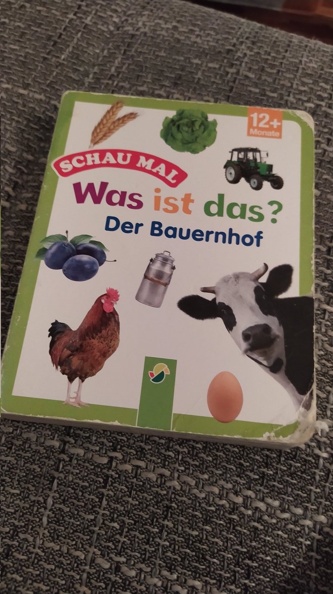 TheWTFCrew's tweet photo. Heute Abend ganz entspannt den Mais abfarmen und die Eier weg bringen. Vielleicht noch ein neuer Schafstall?! Meine Güte, ist das alles aufregend.

#ls22
@GIANTSSoftware https://t.co/6o4eGSiUoe