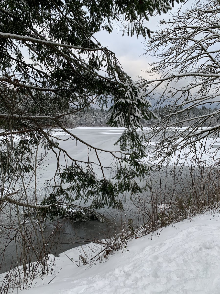 Happy New Year! Looking forward with hope and optimism to a better 2022. There is so much to be grateful for ❤️#2022NewYear
