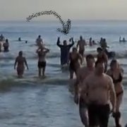 Part II Verification!  #LiveMaas