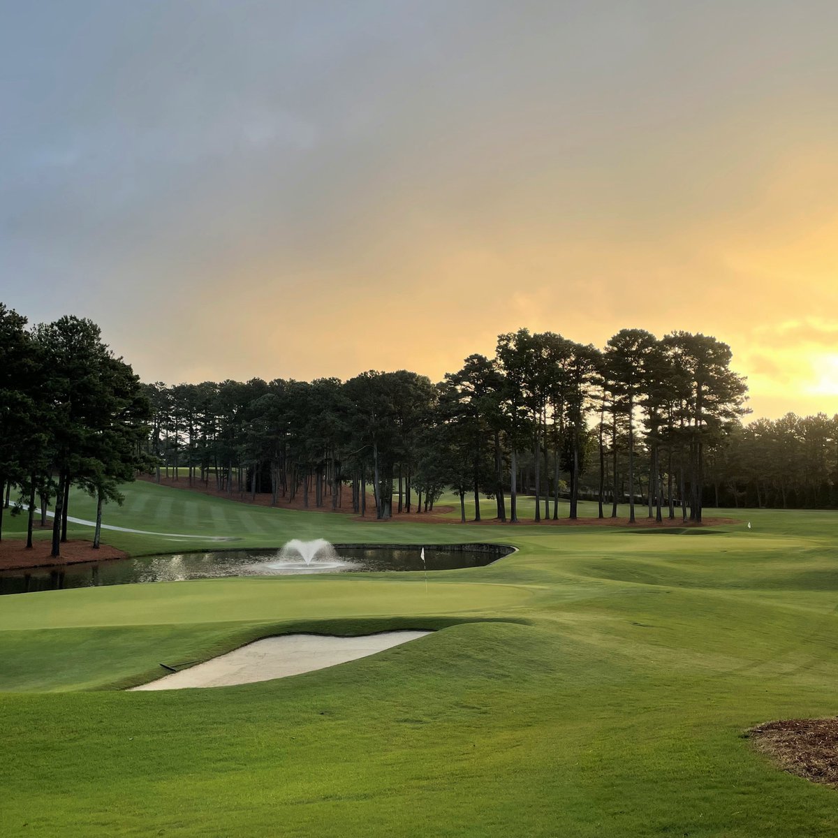 Ryan Johnson tweet media