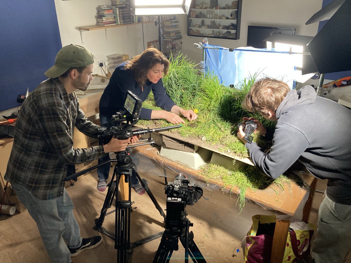 SallyAnn_Spence's tweet photo. 2021 was another year sharing the sheer awesomeness of our native UK #DungBeetles with a wider audience on television & radio interviews kept the dung beetle love expanding yet further - Iβm on a π© #scicomm mission here! #MakeNoBonesAboutIt #InsectsRule https://t.co/T4W5l3CO9G
