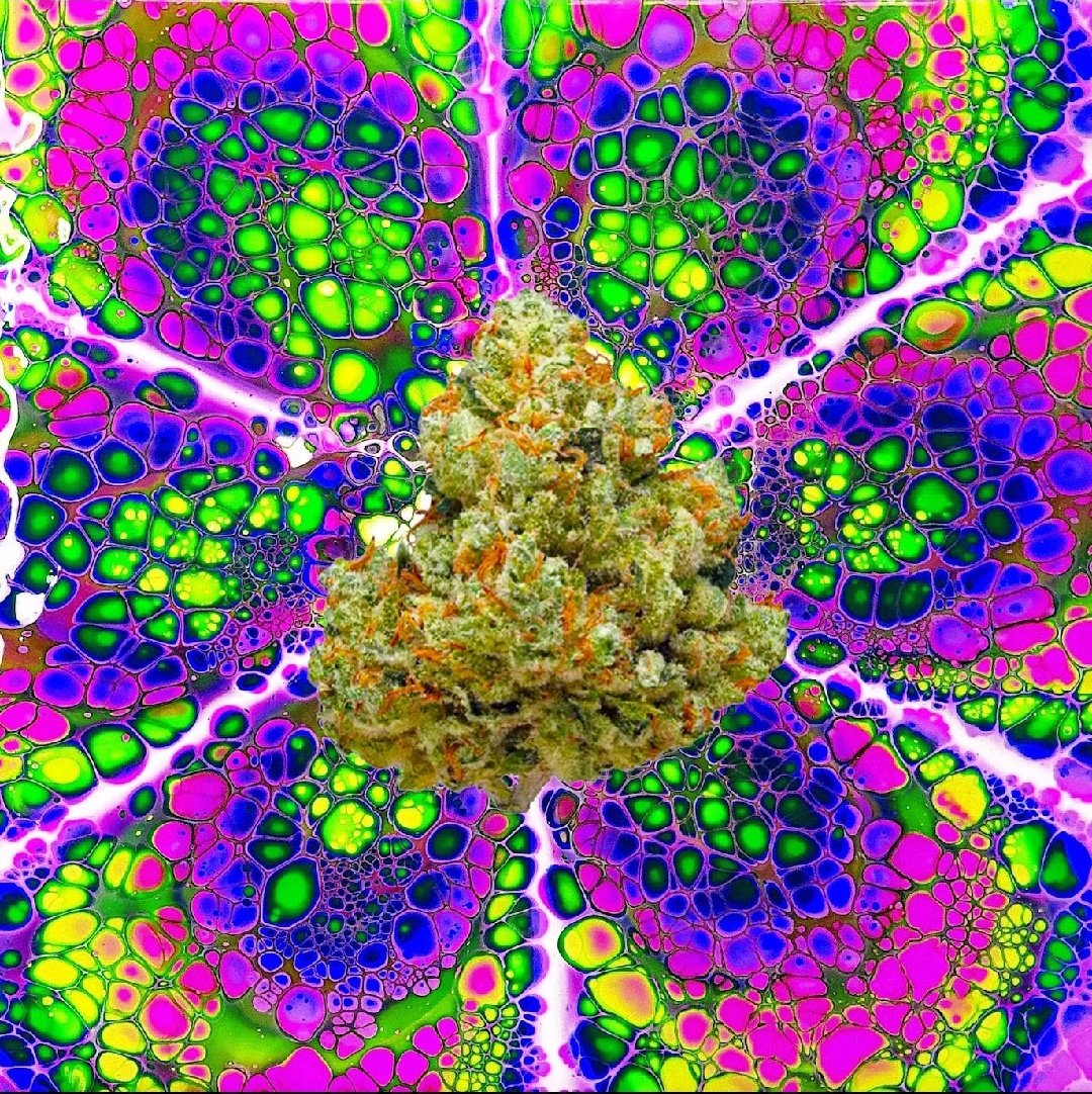 🔞Weed Strains #NFTs😎
Get your gram from this crazy strain🔥🔥🔥
👉 Chemdawg strain
👉Current price  0.06 #ETH
👉Like, Re-Tweet 
👉Tag 3+ friends
⚠️Do you like it?
👉 Make an offer
👉 Follow me+ <a href="/ConcreteXCrypto/">Creet.sol</a>

opensea.io/assets/matic/0…