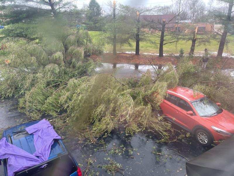 roadlesstravled's tweet photo. @joeimel Greenwood Downs on Cave Mill Rd. Barely missed my Saturn. Neighbor a little less lucky. https://t.co/UxObdkzGtx